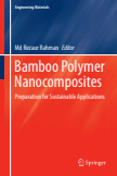 Bamboo Polymer Nanocomposites : Preparation for Sustainable Applications