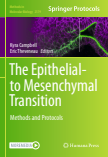 The Epithelial-to Mesenchymal Transition