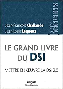 Le grand livre du DSI: Mettre en oeuvre la direction des systèmes d'informations 2.0