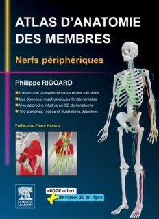 Atlas d’anatomie des membres - nerfs peripheriques