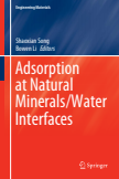 Adsorption at Natural Minerals/Water Interfaces
