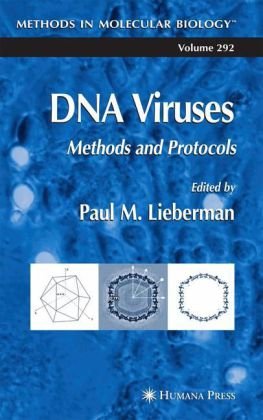 DNA Viruses: Methods and Protocols